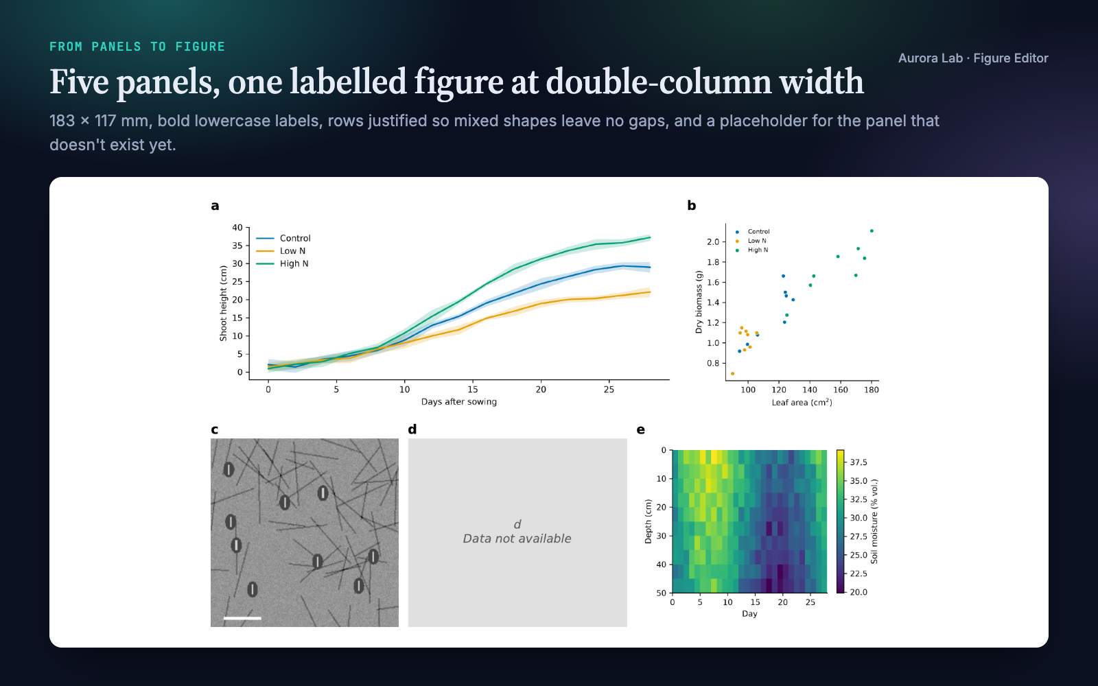 Multi-panel figure assembled by the skill: growth curves and a scatter plot on top; a micrograph, a grey placeholder for panel d and a heatmap below, labelled a to e.
