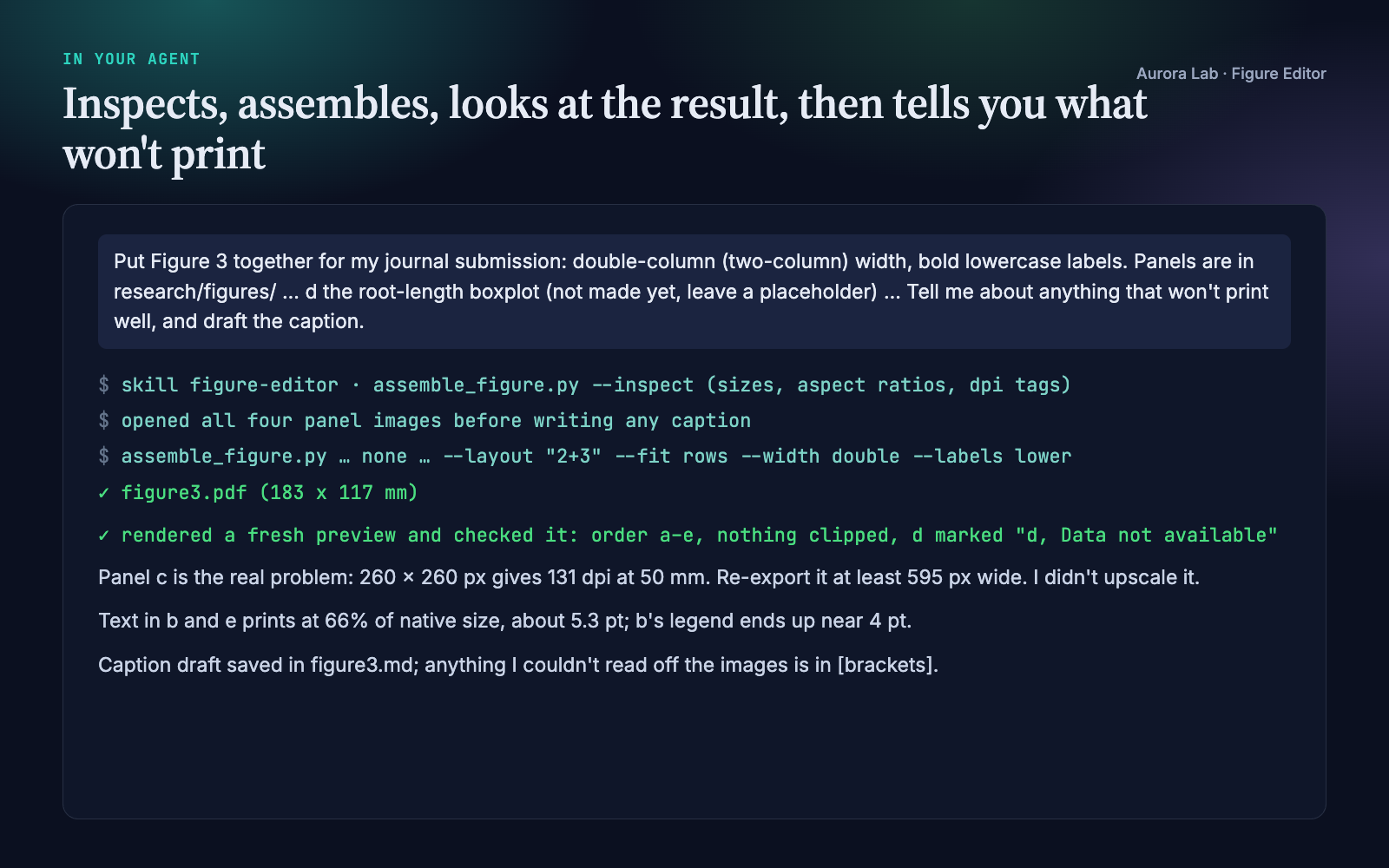 Excerpt of the agent session: inspection, assembly, the preview check and the report.